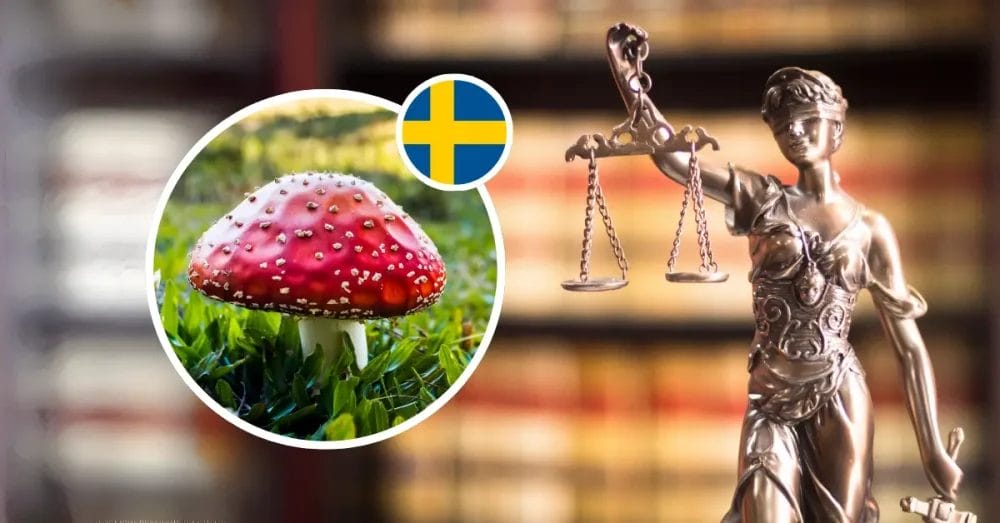 Är Fly agaric lagligt i Sverige