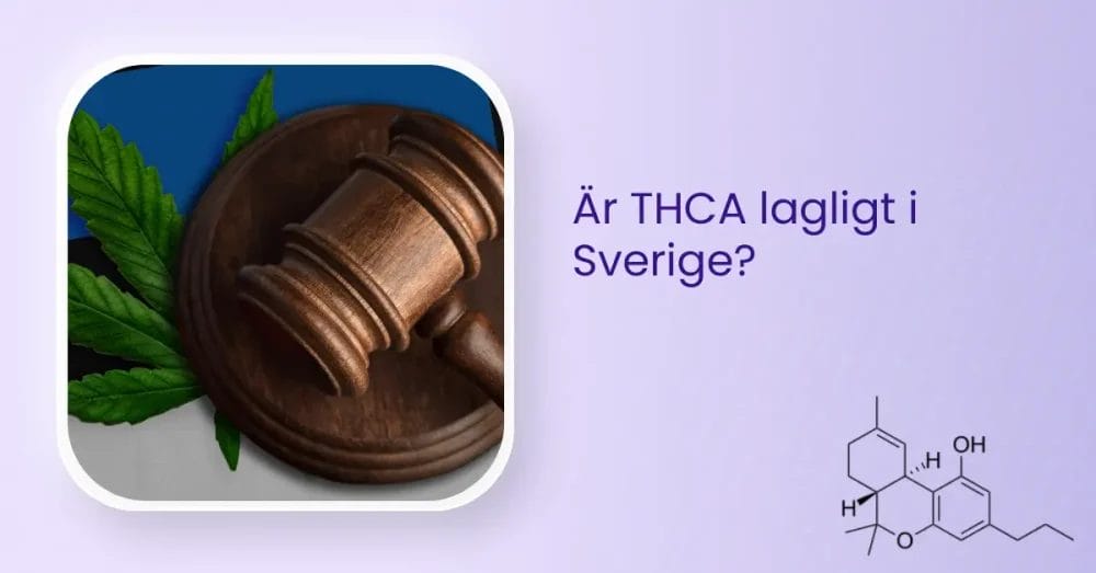 Är THCA lagligt i Sverige