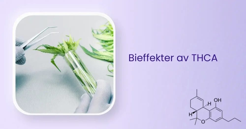 Bieffekter av THCA