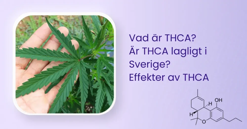 Vad är THCA