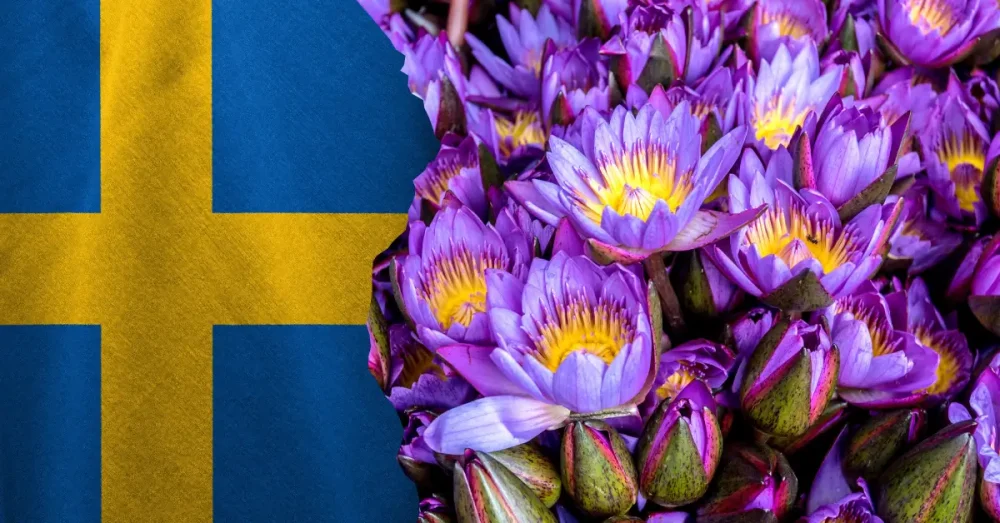 Är blå lotus lagligt i Sverige