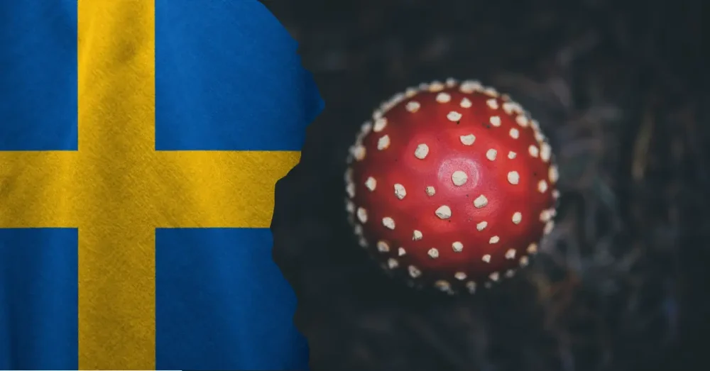 Är Muscimol lagligt i Sverige?