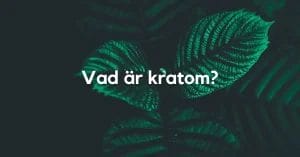 Vad är Kratom?